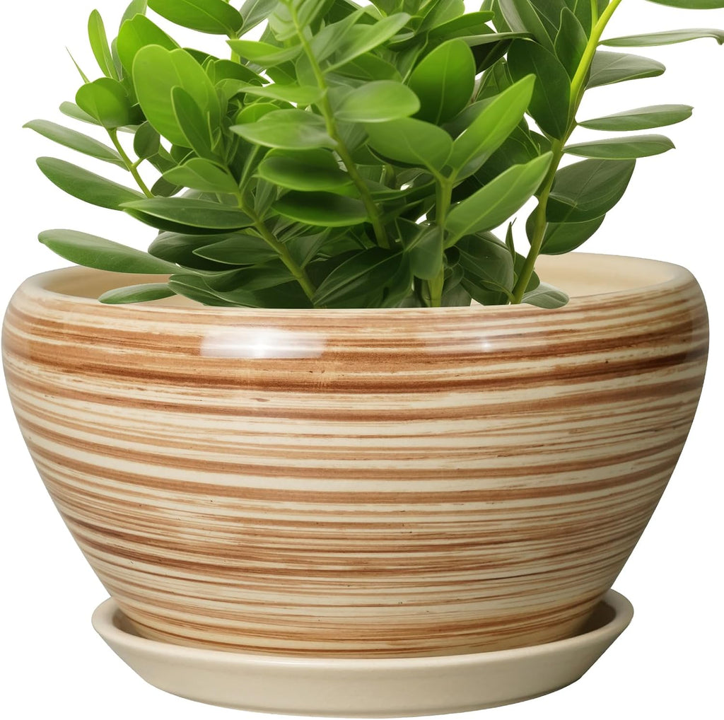 6in Ceramic Planter with Drainage Hole