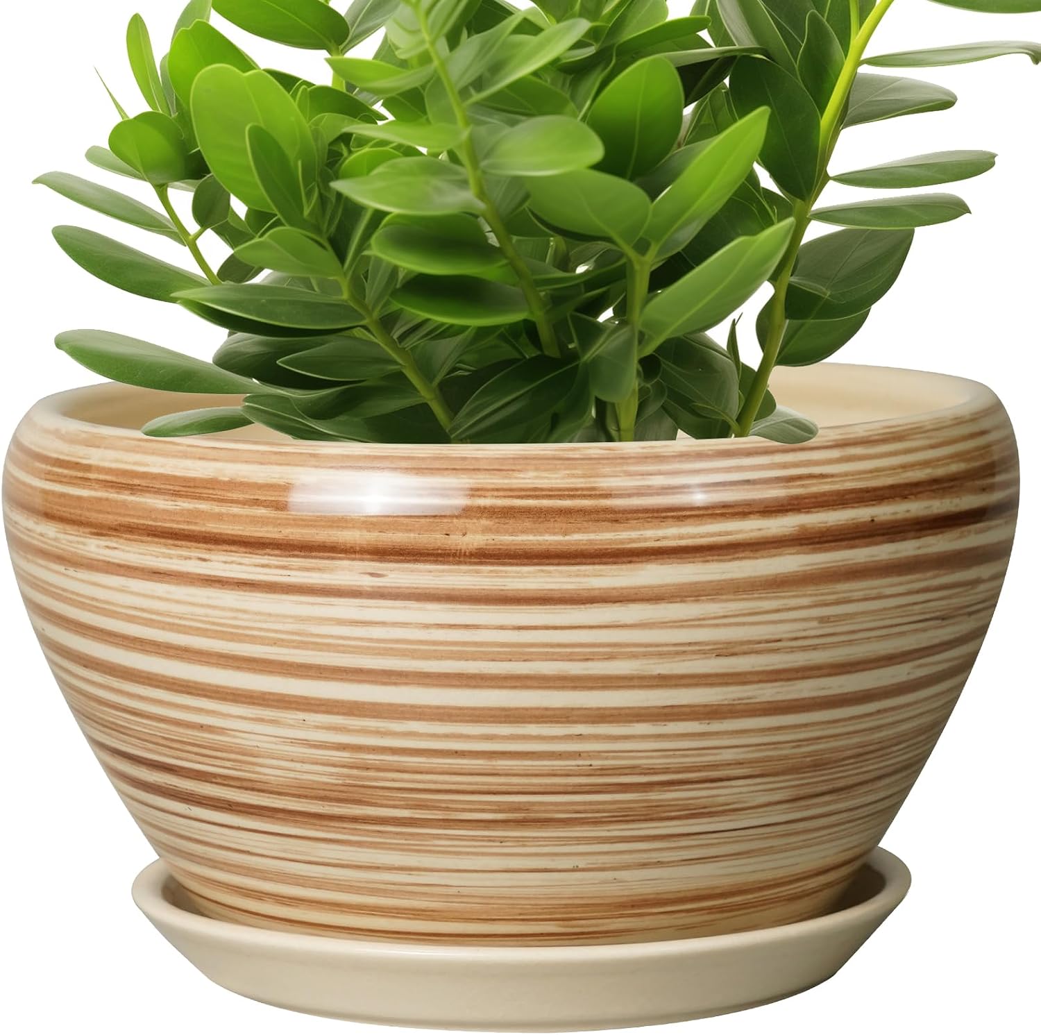 6in Ceramic Planter with Drainage Hole