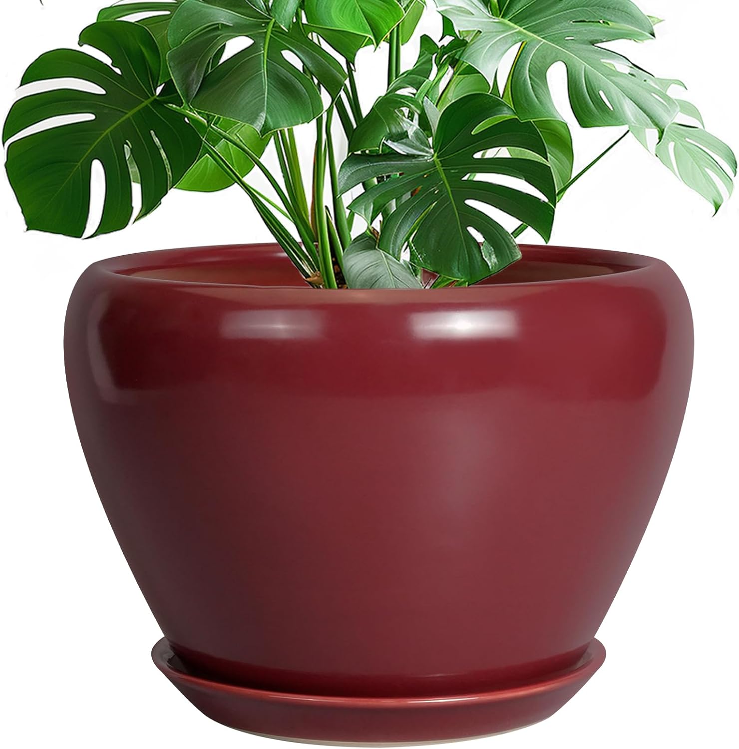 6in Ceramic Planter with Drainage Hole