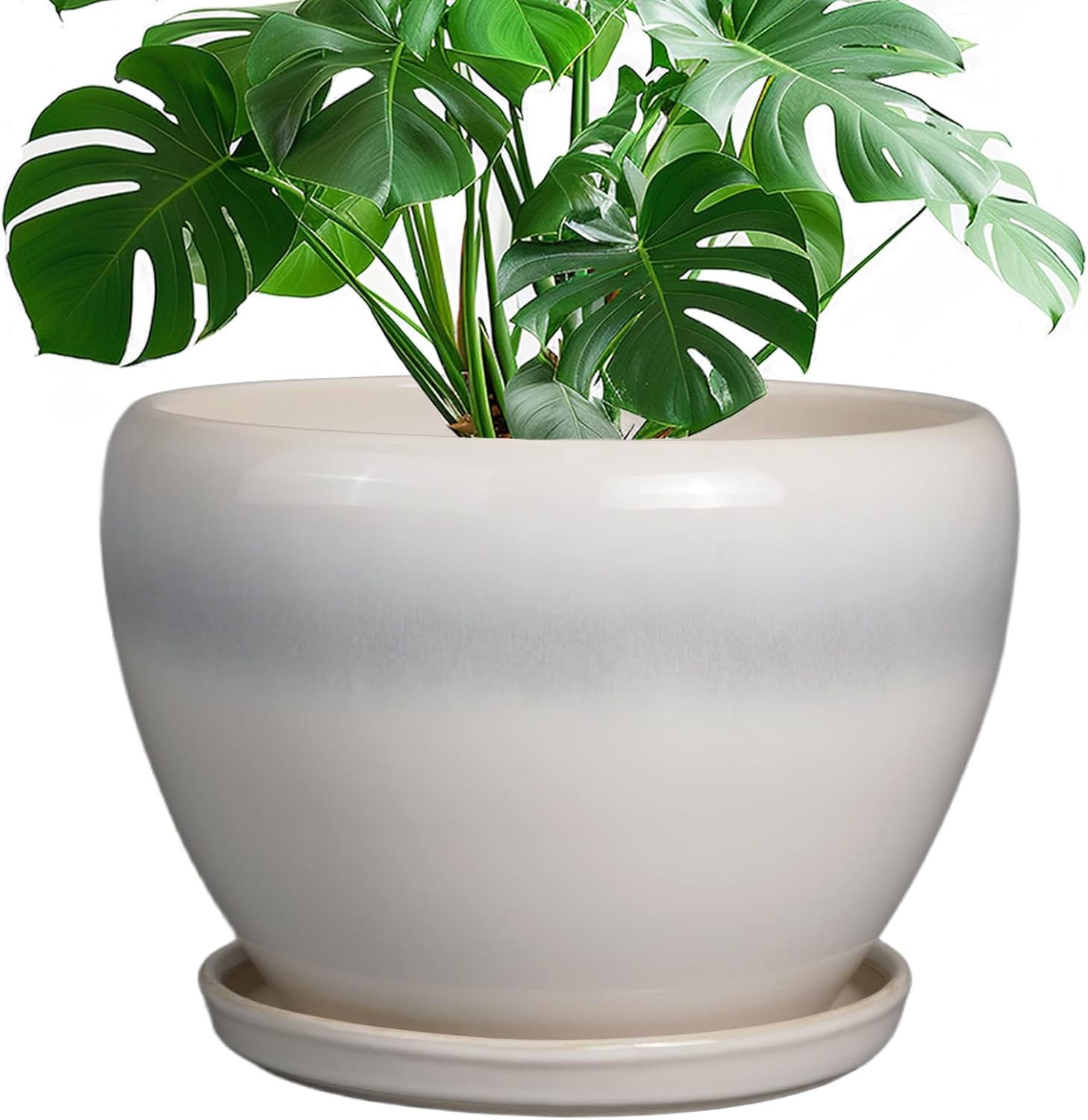 6in Ceramic Planter with Drainage Hole