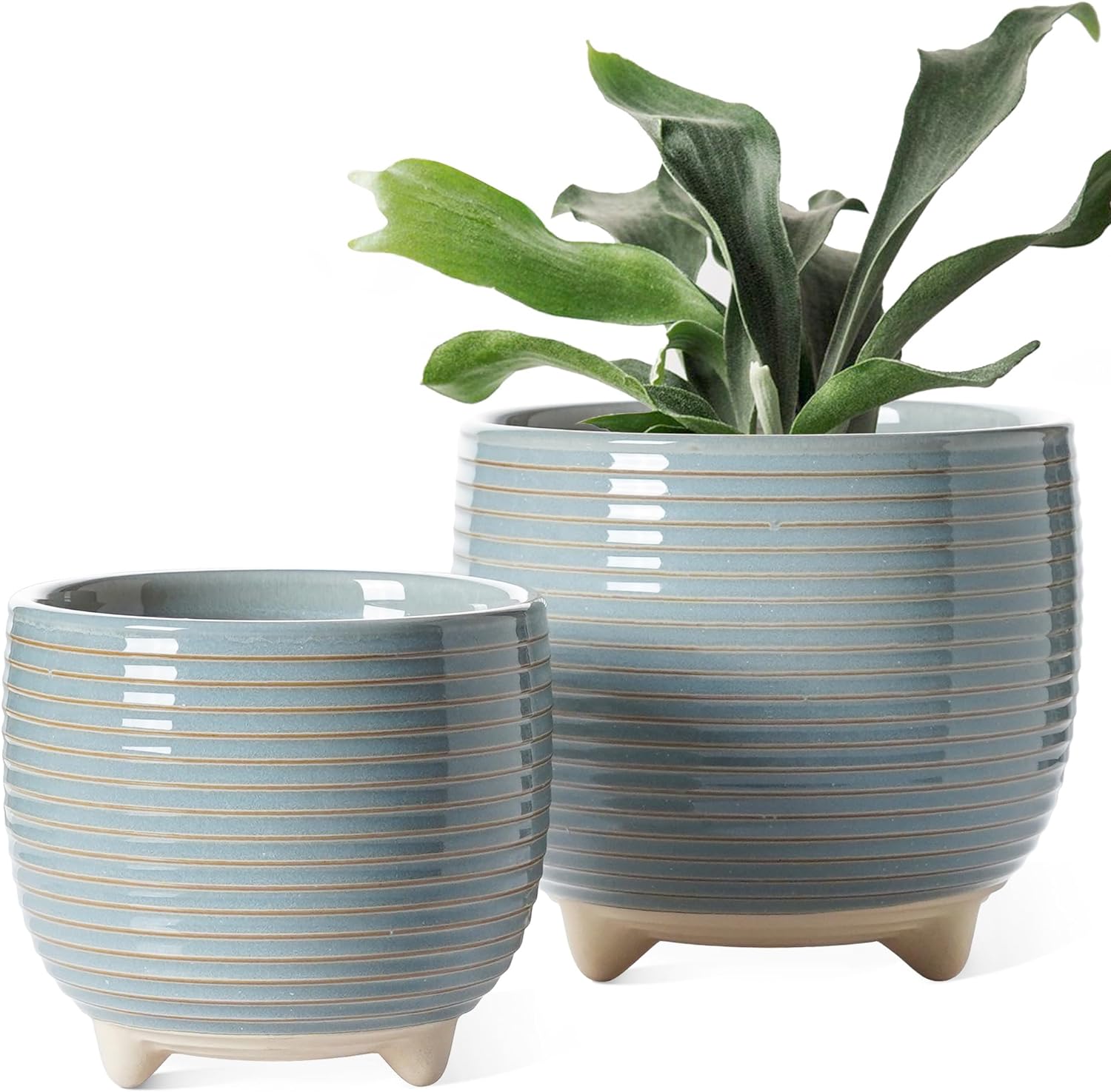 Set of 2 Footed Ceramic Planters