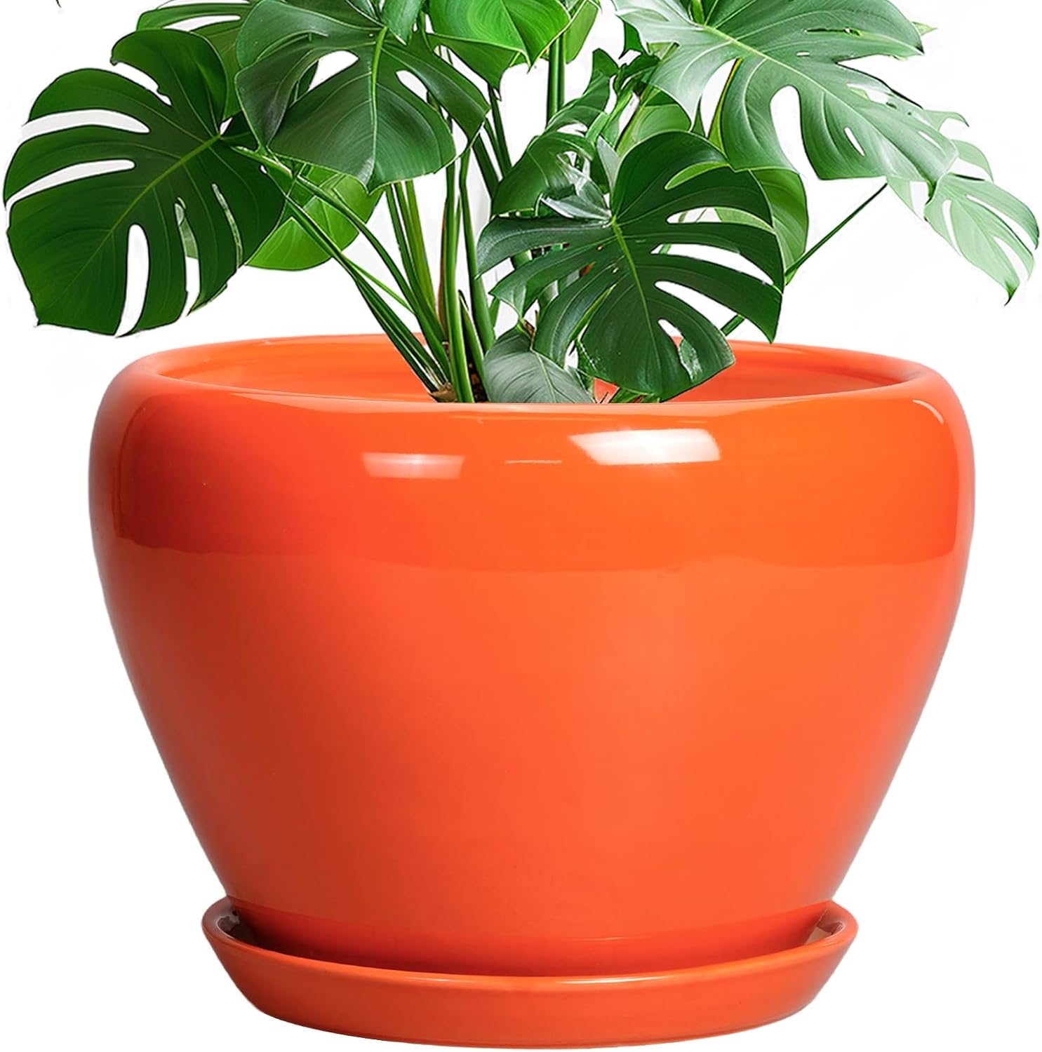 6in Ceramic Planter with Drainage Hole