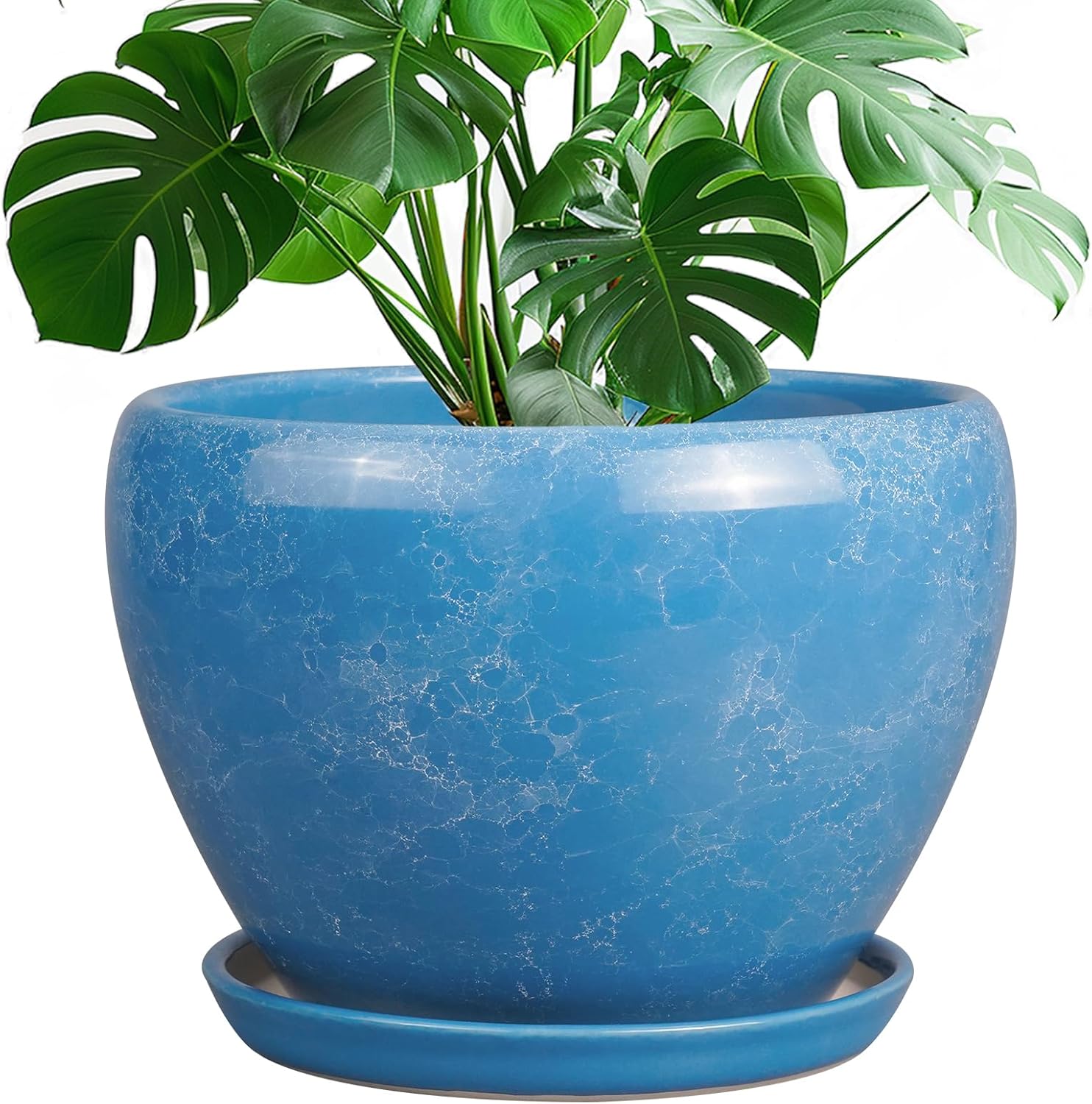 6in Ceramic Planter with Drainage Hole