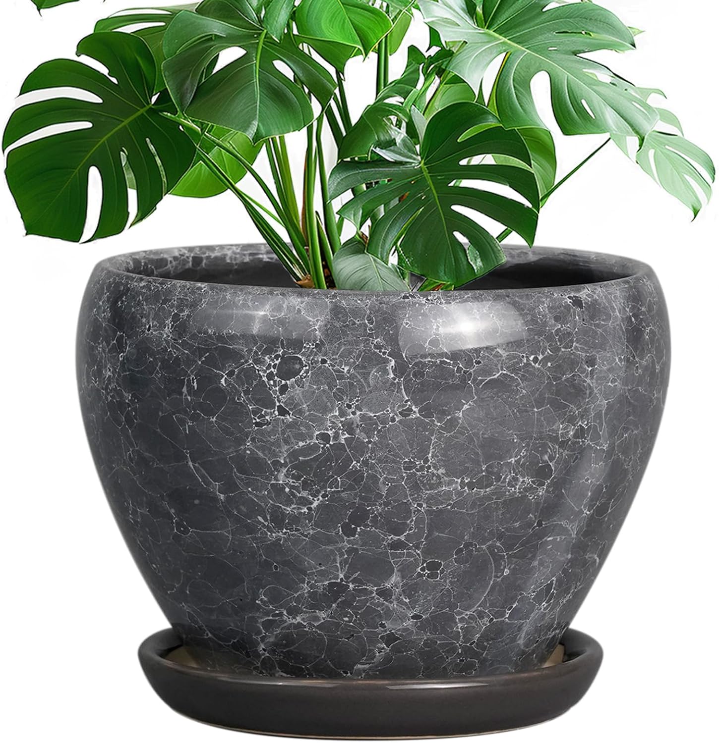 6in Ceramic Planter with Drainage Hole