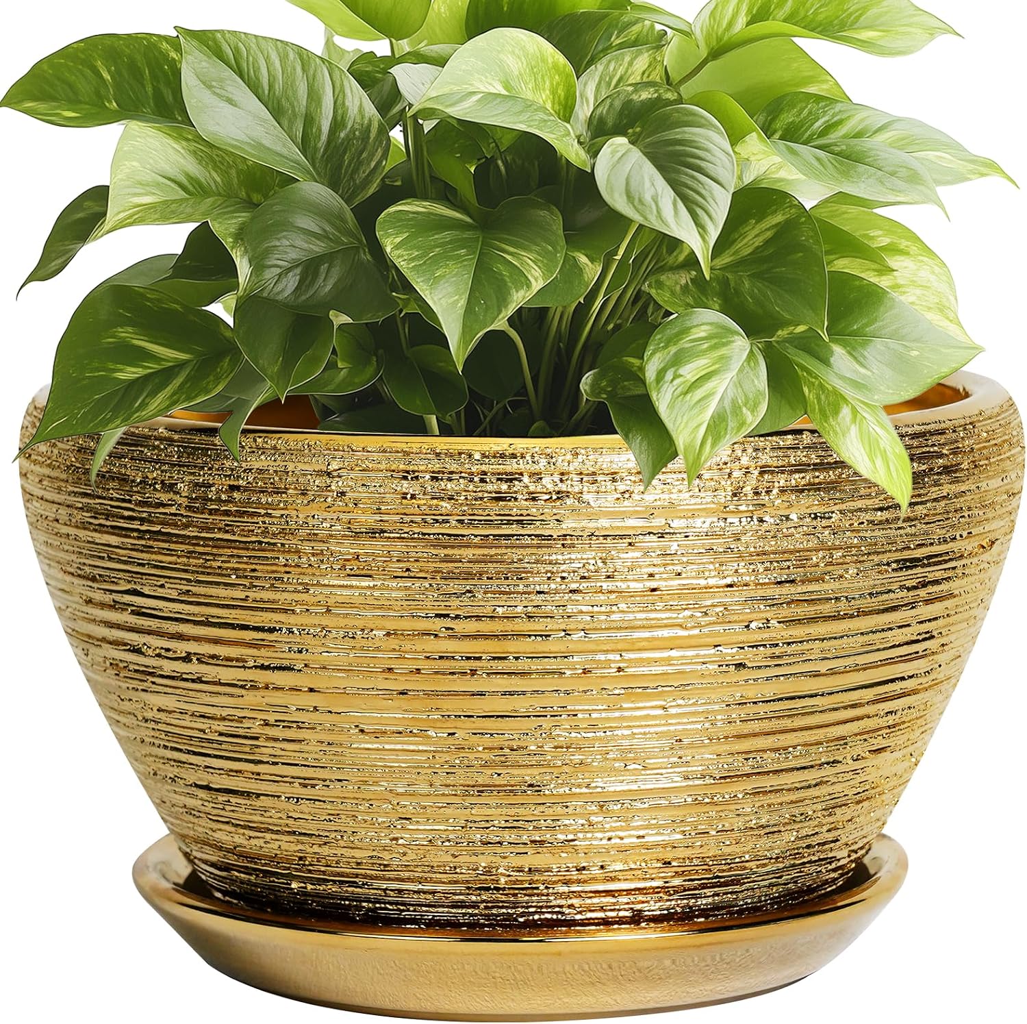 6in Ceramic Planter with Drainage Hole