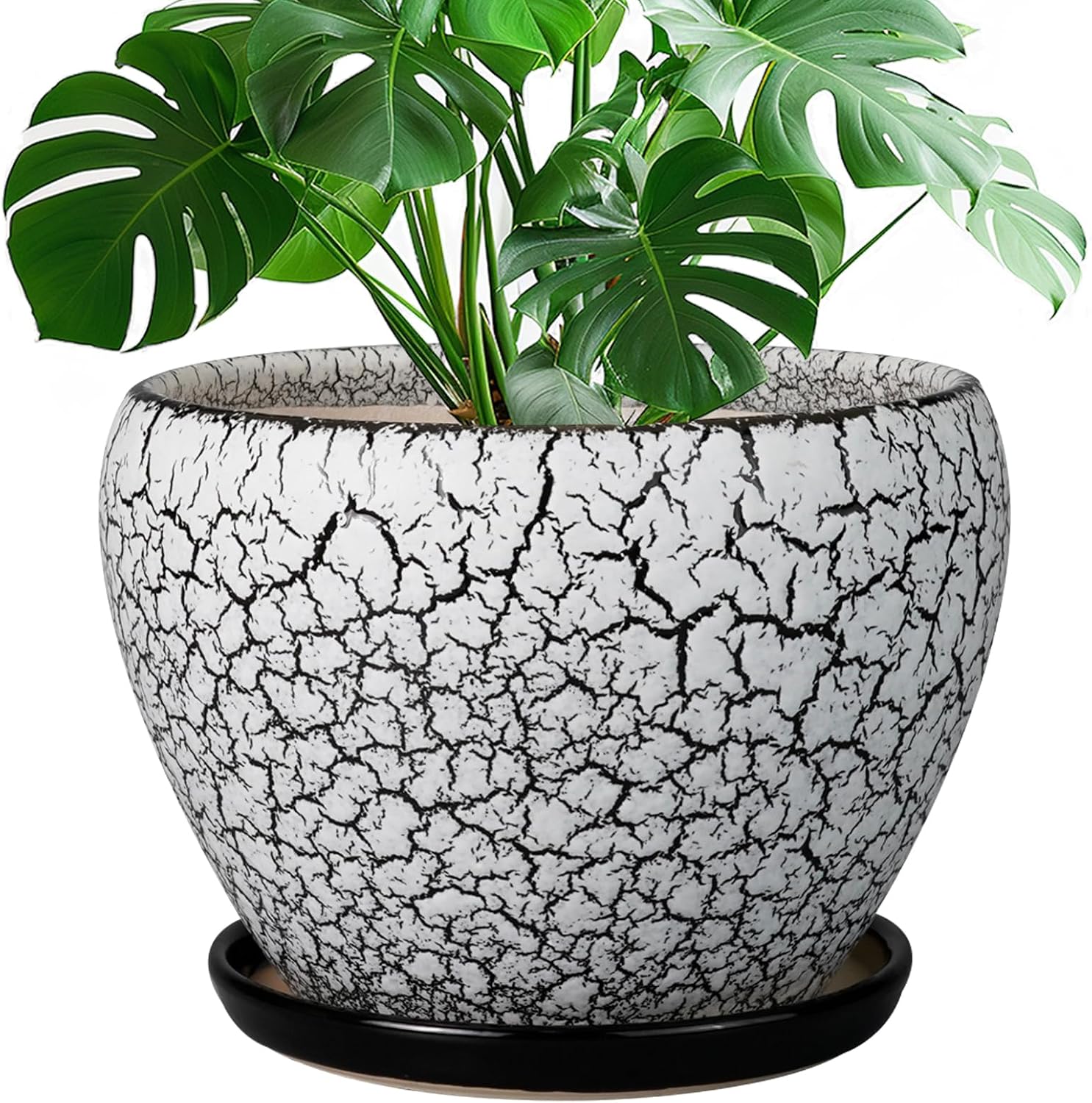 6in Ceramic Planter with Drainage Hole