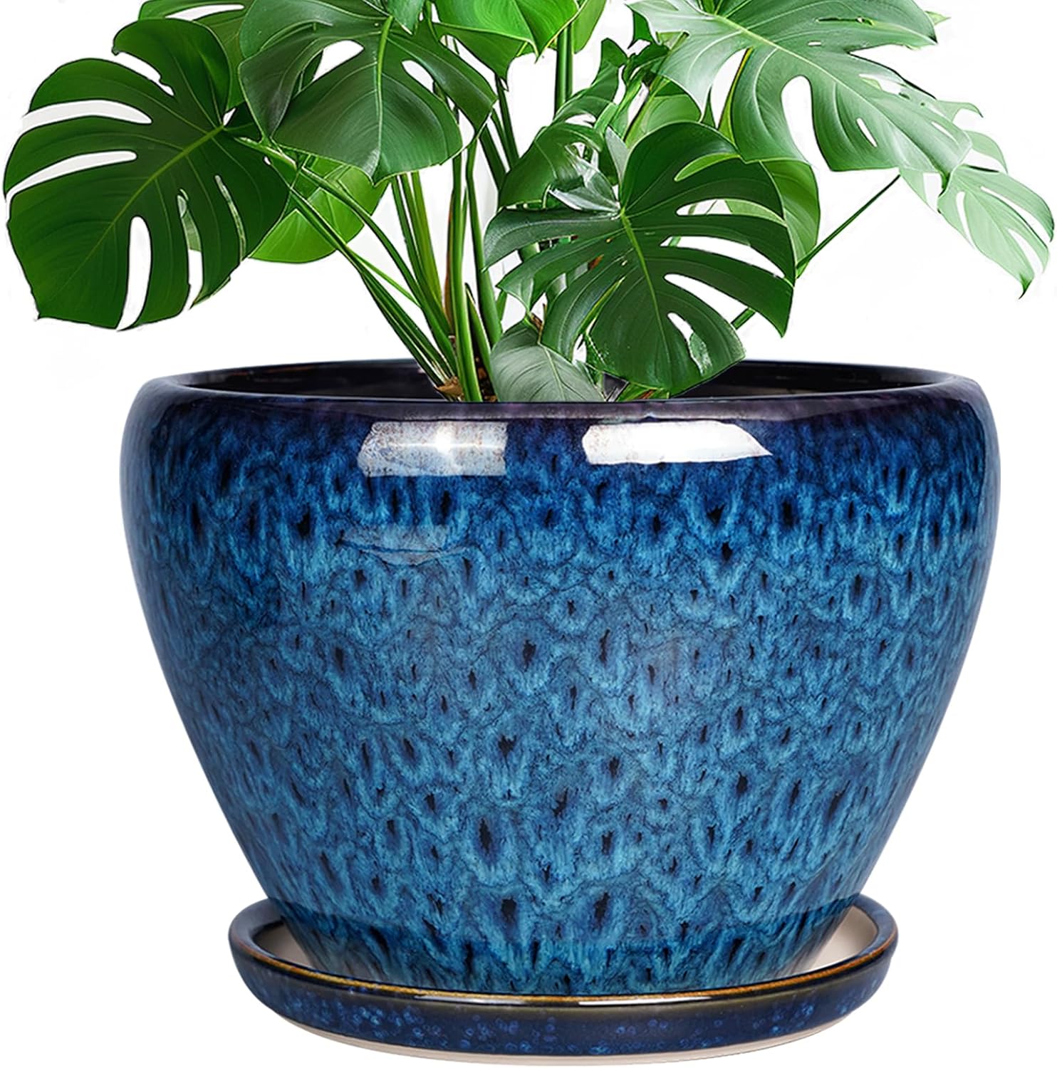 6in Ceramic Planter with Drainage Hole