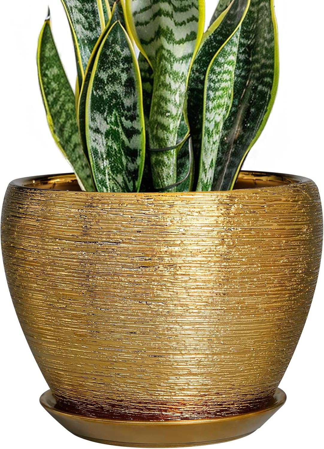 6in Ceramic Planter with Drainage Hole