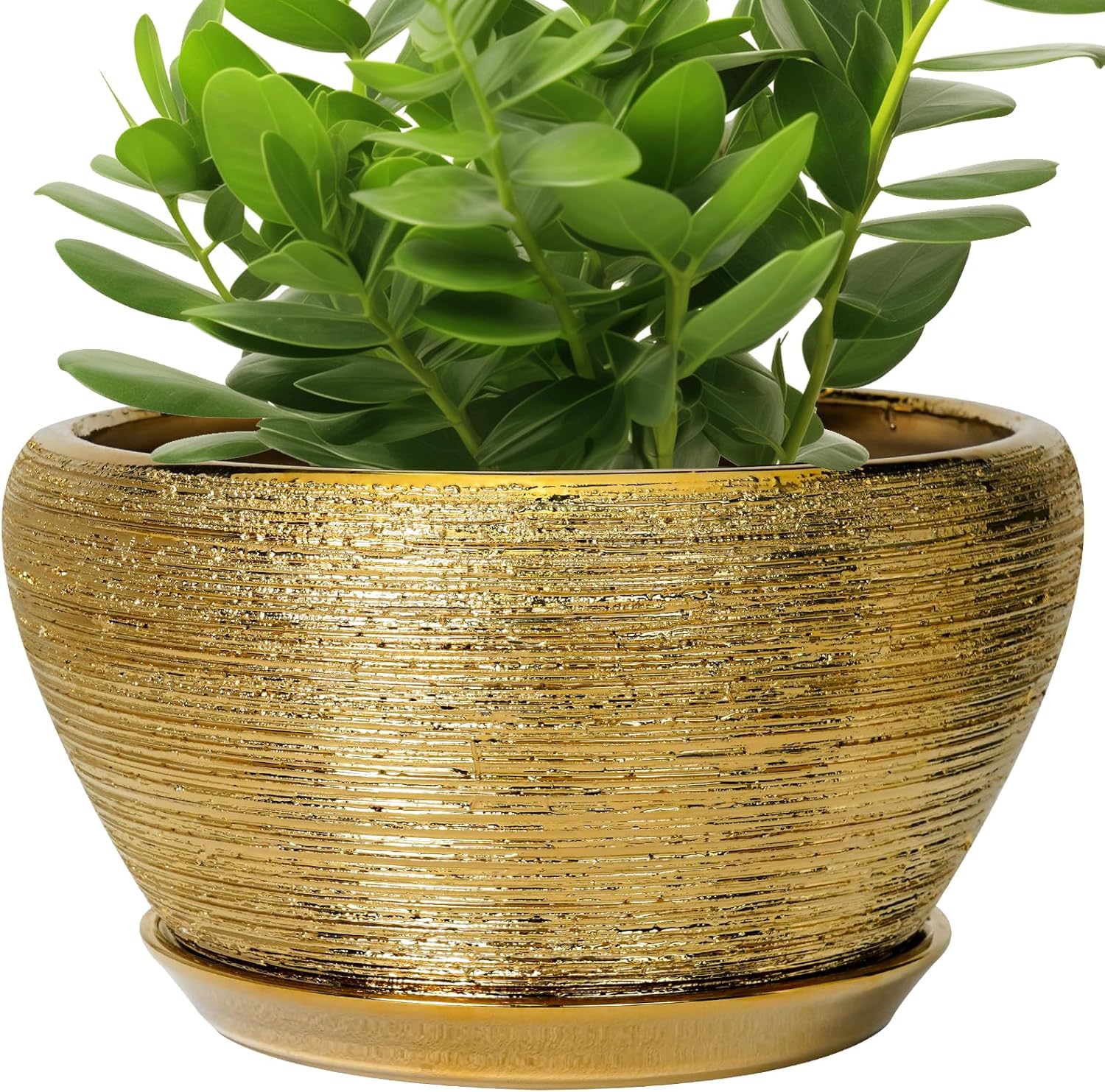 6in Ceramic Planter with Drainage Hole