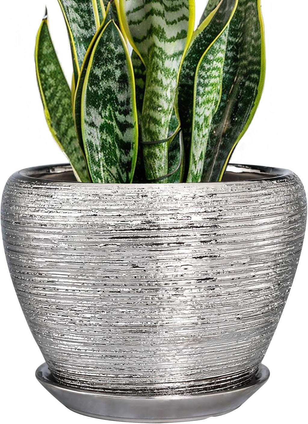 6in Ceramic Planter with Drainage Hole