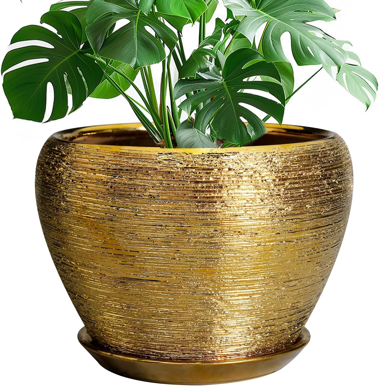 6in Ceramic Planter with Drainage Hole