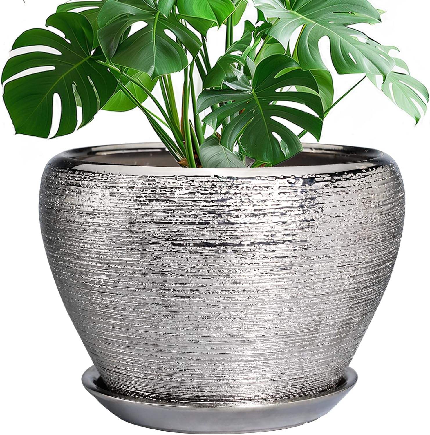 6in Ceramic Planter with Drainage Hole