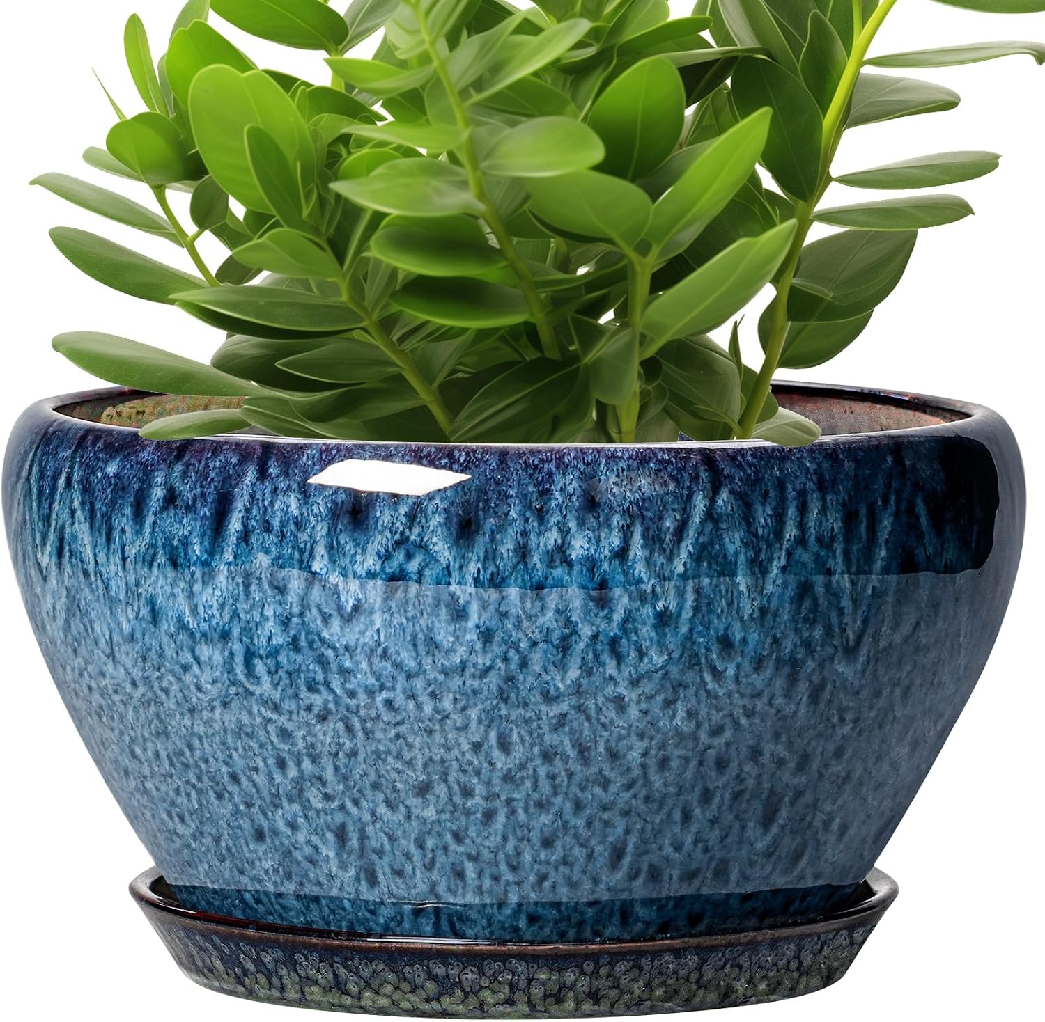6in Ceramic Planter with Drainage Hole