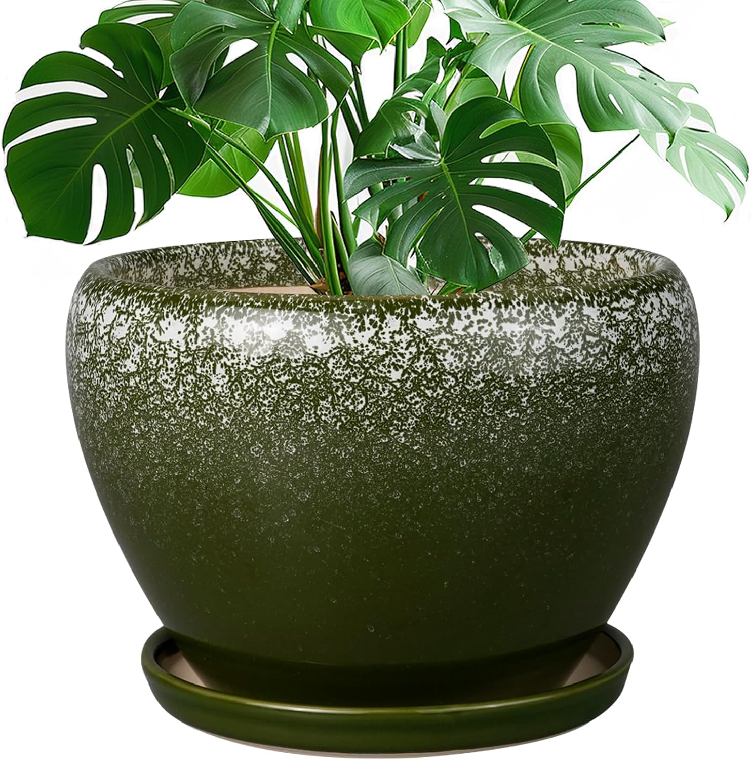 6in Ceramic Planter with Drainage Hole