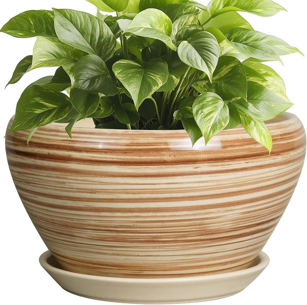 6in Ceramic Planter with Drainage Hole
