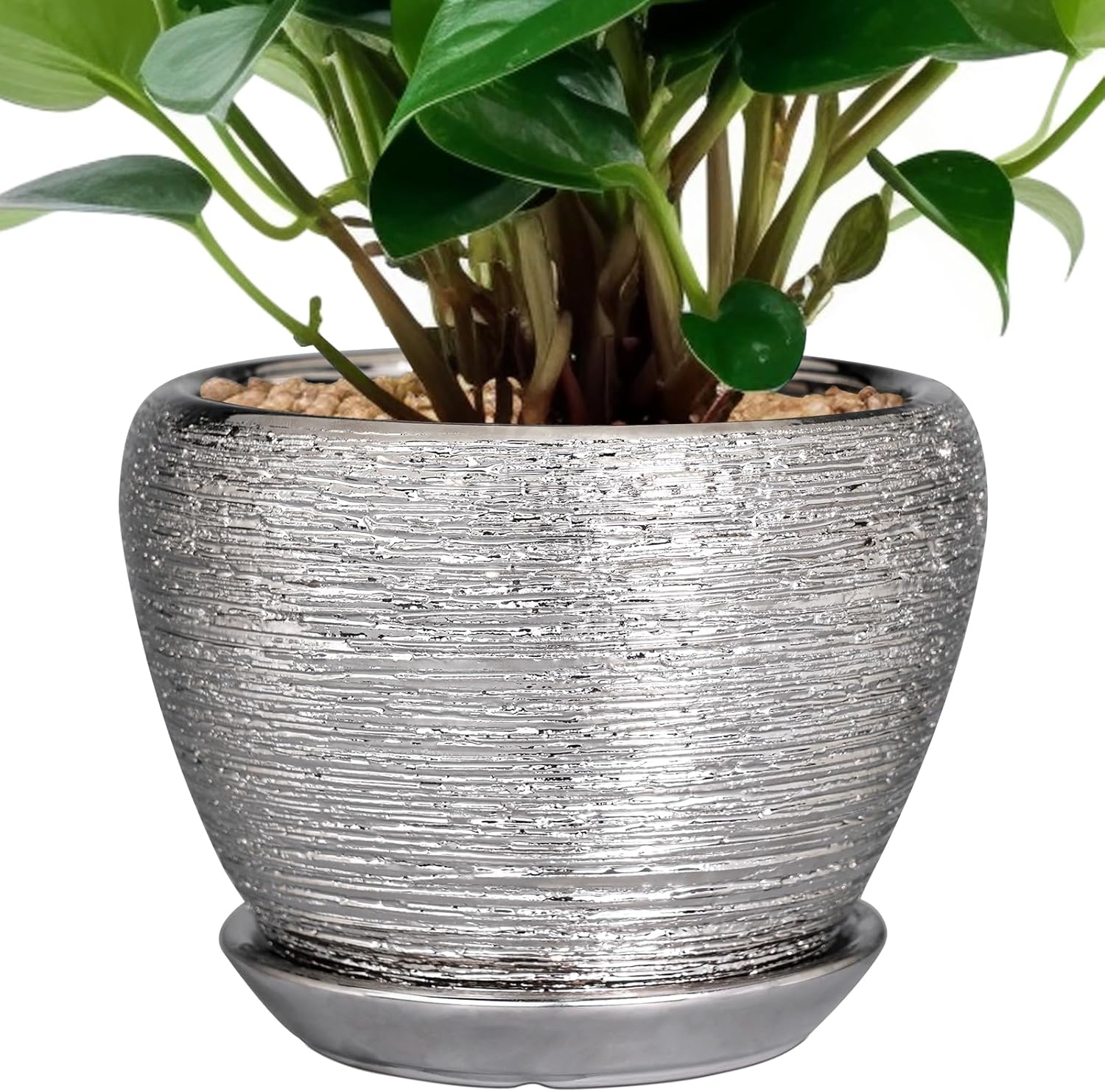 6in Ceramic Planter with Drainage Hole