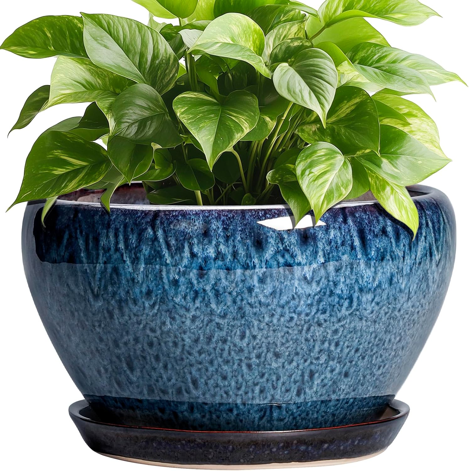 6in Ceramic Planter with Drainage Hole