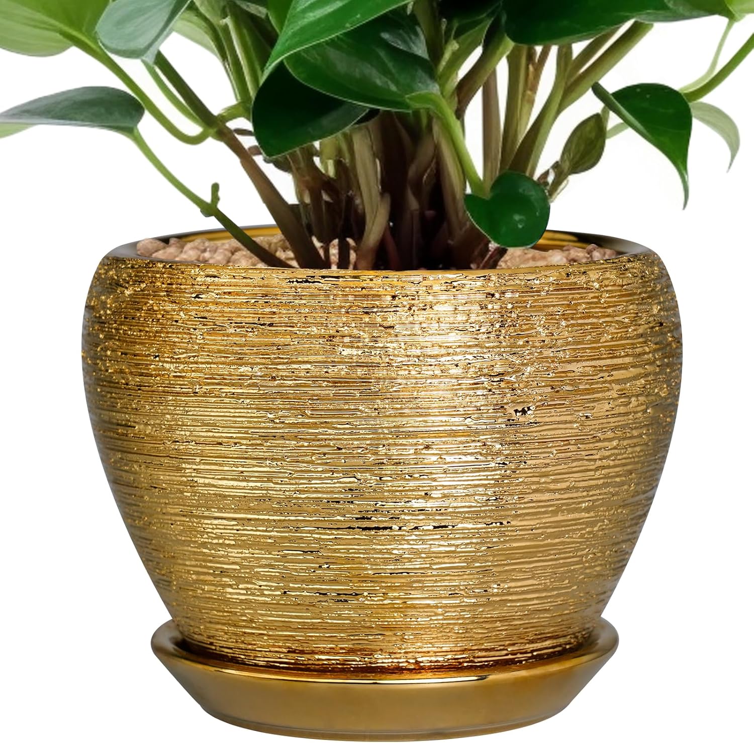 6in Ceramic Planter with Drainage Hole